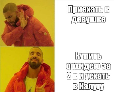 Комикс мем: Приехать к девушке Купить орхидею за 2 к и уехать в Калугу