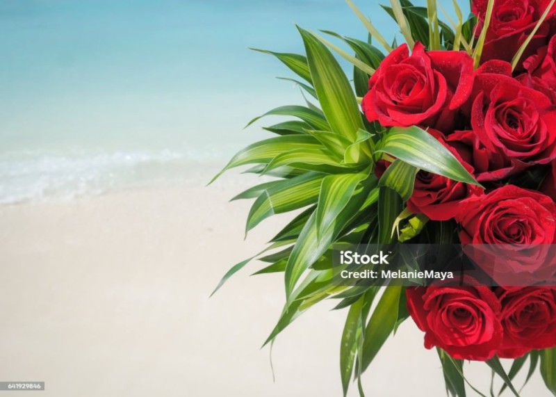 Create meme: flowers , a beautiful bouquet of flowers , bouquet of the sea