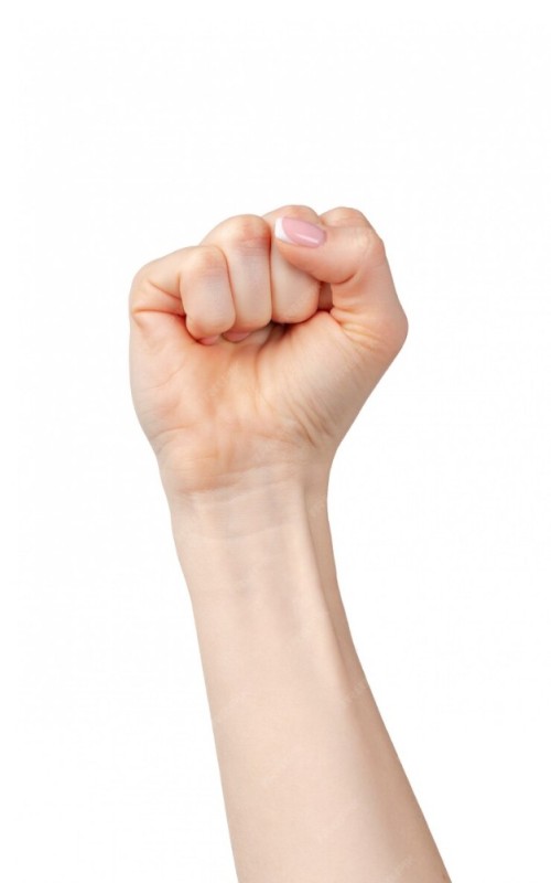 Create meme: fist up, fist on white background, a hand with a fist