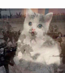 Создать мем: картина белая кошка, вьетнамский флэшбэк кот, кошки