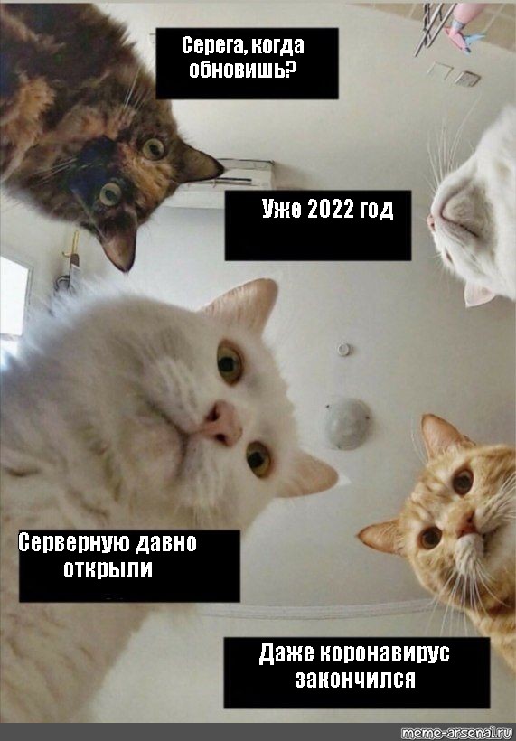 Мемные картинки 2022