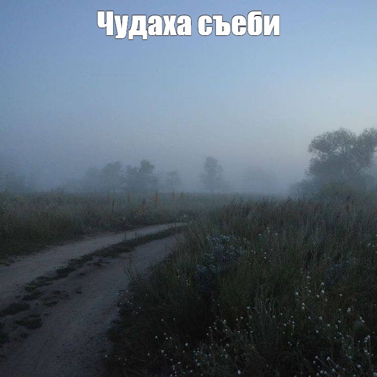 Создать мем: поле туман, пейзаж, туман в деревне