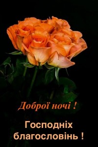 Создать мем: цветы красивые, открытки красивые розы, спокойной ночи милая