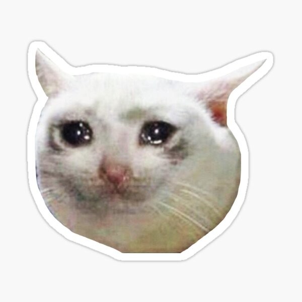 Create meme: crying cat, crying kitten meme, crying cat meme