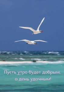 Создать мем: доброе воскресное утро, птицы, доброе субботнее утро