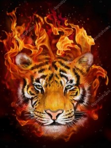 Create meme: tiger, tiger face, fire tiger