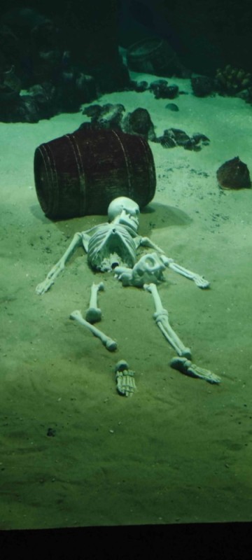 Create meme: a skeleton in the water, the skeleton at the bottom, The skeleton meme under water