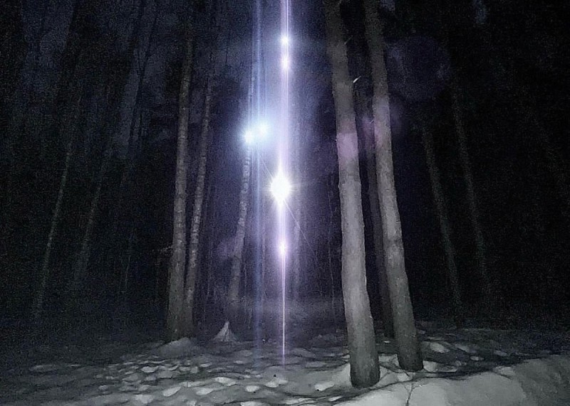 Create meme: the woods at night, night forest , nature forest 