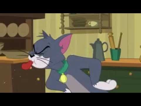 Создать мем: tom ve jerry, том и джерри персонажи, шоу тома и джерри