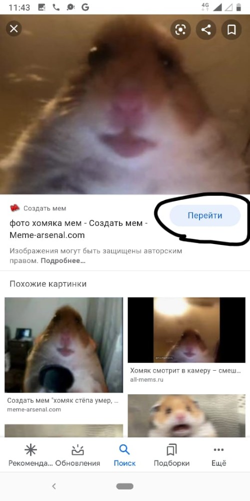 Create Meme The Hamster In The Chamber Hamster Meme Selfie Hamster Meme Pictures Meme Arsenal Com