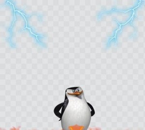 Create meme: penguin skipper, penguin, the Madagascar penguins