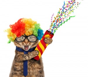 Create meme: crazy cat, funny cat, birthday