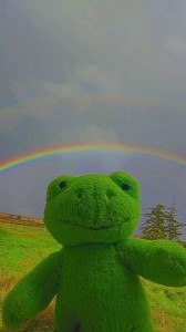 Создать мем: frog art, зеленая картина, green frog