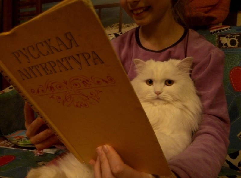 Create meme: the book cat, The cat is a scientist, The white cat book