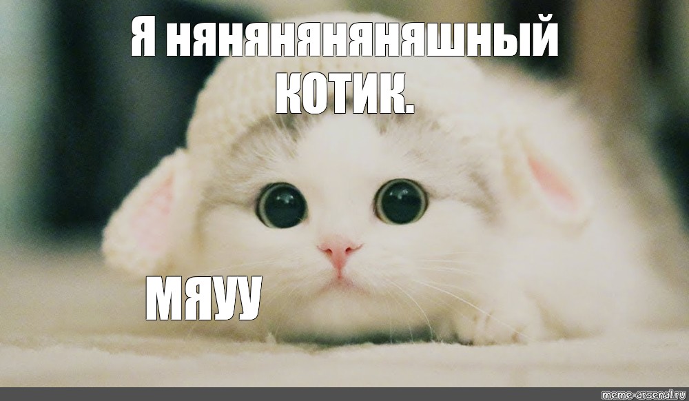 Котик не болей картинки