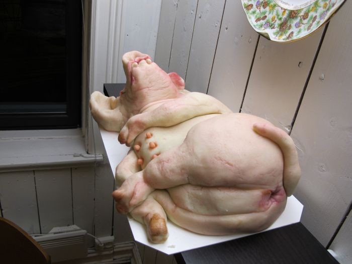 Create meme: pig's head , the pig is beautiful, evil pig