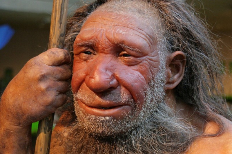 Создать мем: лицо неандертальца, внешний вид неандертальца, неандерталец википедия