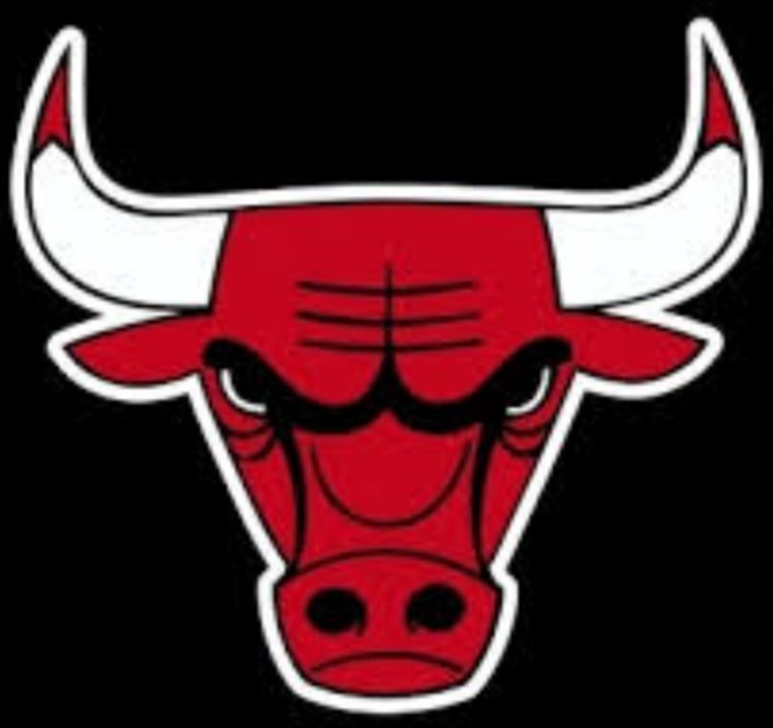 Create meme: Chicago bulls logo, Chicago bulls logo, Chicago bulls logo