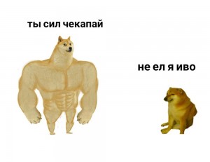 Создать мем: собака качок мем, доге качок, doge meme качок