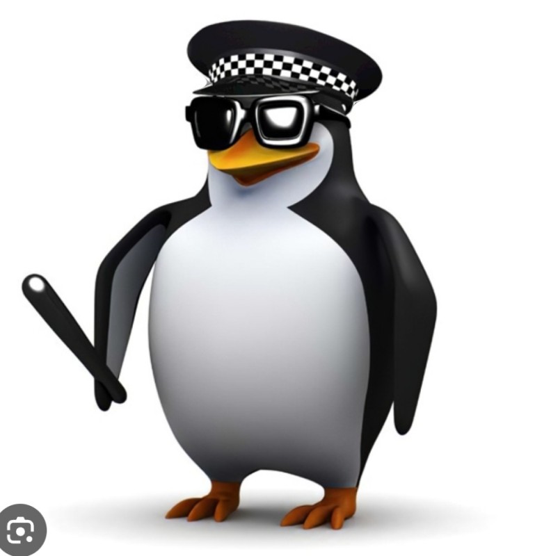 Create meme: penguin with glasses, penguin , penguin meme