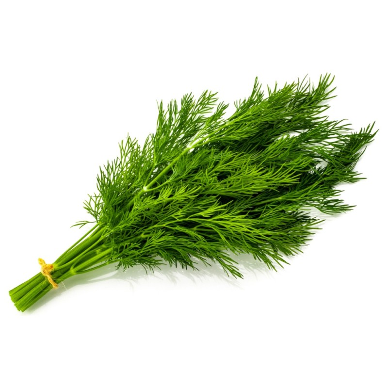 Create meme: dill , fresh dill, dill bunch