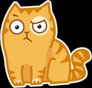 Создать мем: кот персик с хлебом, персик кот настоящий, кот персик грустный