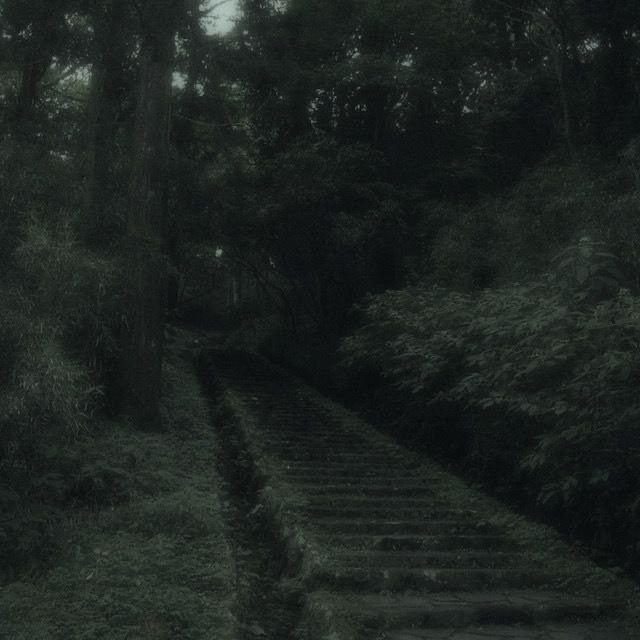 Create meme: A dark forest with a path, mystical forest, aesthetics of the forest