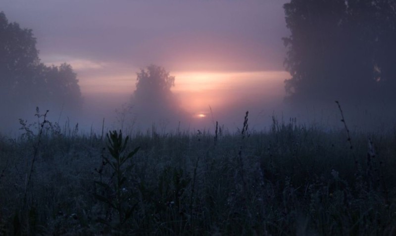 Create meme: foggy landscape, misty dawn, the fog of dawn