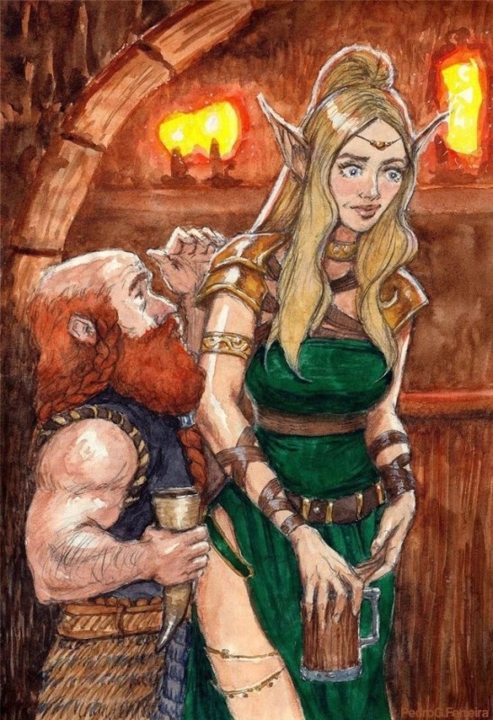 Create meme: Dwarf and elf, fantasy elves, Beadle Zelda