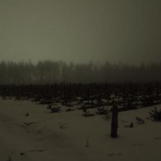 Create meme: winter is dark, the forest dark, the landscape is gloomy