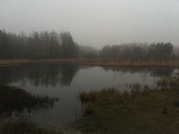 Create meme: Filkino lake Gatchina, lake , The lake is real