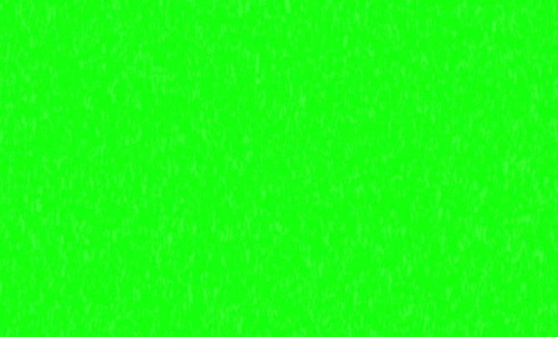 Create meme: the background is plain and bright, chromakey green, solid green background