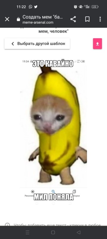 Create meme: a cat in a banana costume, cat banana meme, a cat in a banana costume