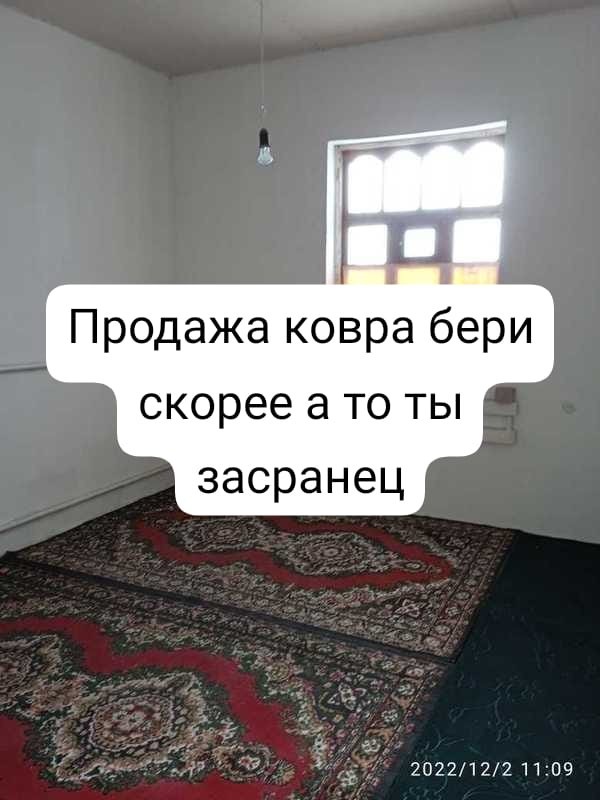 Create meme: apartment house, carpet wool, carpet 