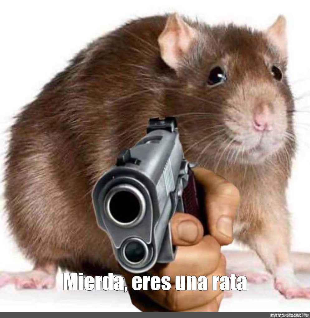 Meme "Mierda, eres una rata" All Templates