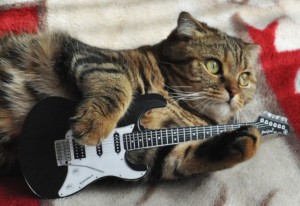 Создать мем: кот с гитарой, кошка с гитарой, кот с электрогитарой