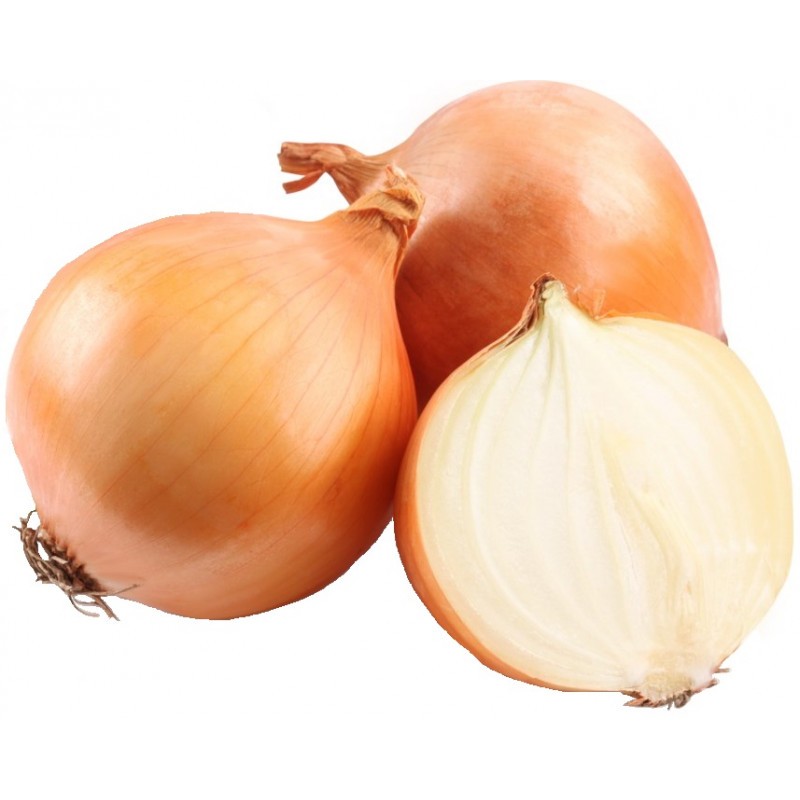 Create meme: onion, bow , onion vegetable