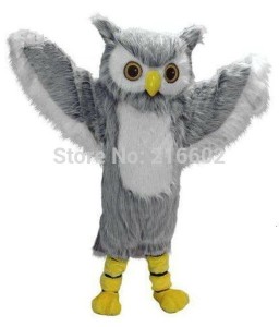 Create meme: Soft toy, owl costume pictures, owl costume for adult