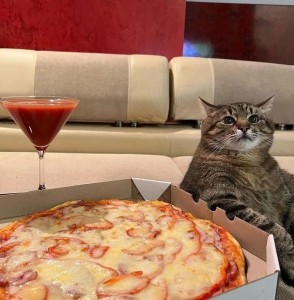 Create meme: eating pizza, pizza cat