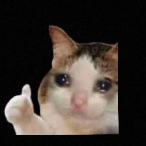 Create meme: meme cat , cat cry, crying cat 