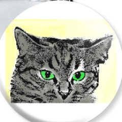 Create meme: cat eye, THE GLORY SISTEMALARI