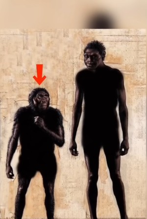 Create meme: Homo sapiens in Africa, the evolution of humanity, the ancestors of humans