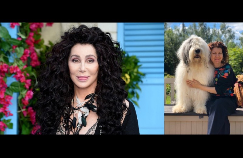 Create meme: stars after plastic surgery, cher singer 2020, cher singer 2021