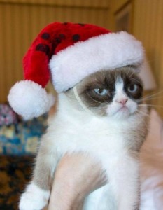Создать мем: угрюмый кот, merry christmas grumpy cat, grumpy cat новый год