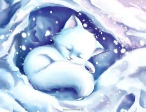 Create meme: snow cat