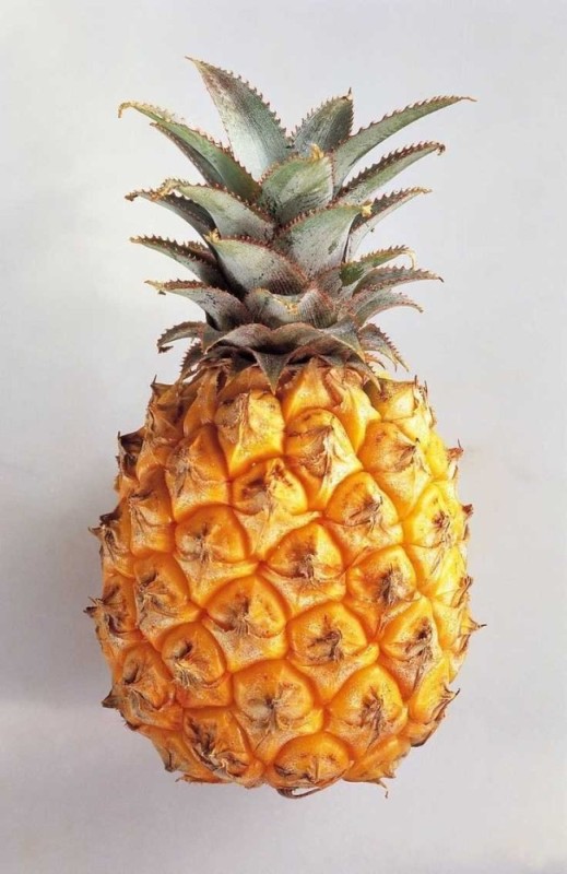 Create meme: pineapple , pineapple fruit, mini pineapple