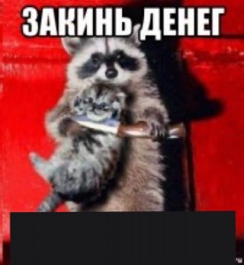 Create meme: enotik, memes with raccoons, meme raccoon