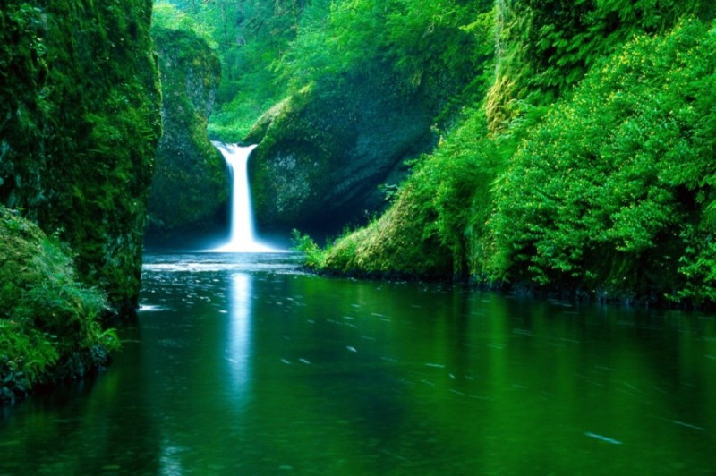 Create meme: nature waterfall, wildlife waterfalls, forest waterfall
