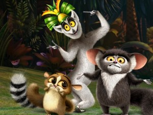 Create meme: Madagascar, Madagascar lemur