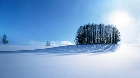 Create meme: winter nature, nature winter, landscape winter